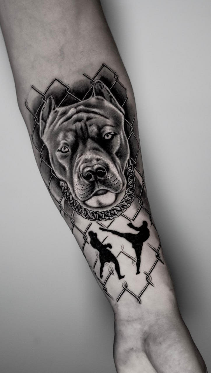 462544489_1313591030057510_8915836787540108513_n