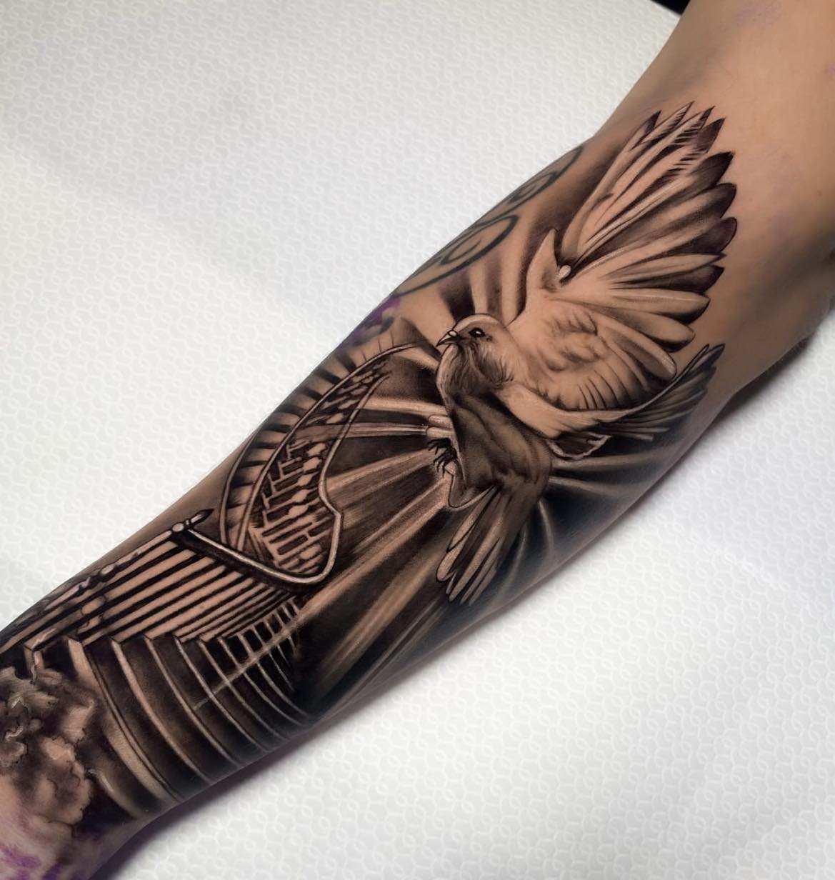 462552292_949472760615977_392455782470948046_n