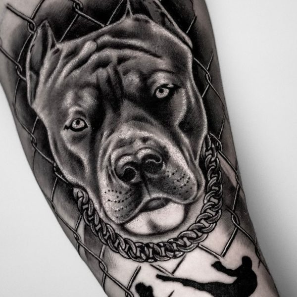 458396684_18337572034120102_2322840284284328691_n